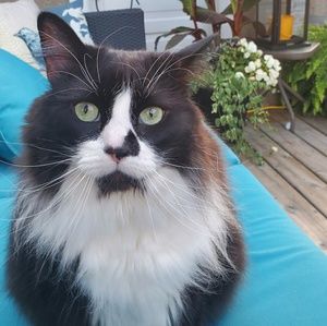 Meet your Posher, Erin